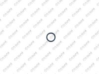 Кольцо уплотнительное TG-RS019/15832-PNA-003 Ti•GUAR