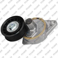 Натяжной ролик (В СБОРЕ) TG-TR036 / 1073096 * TiGUAR